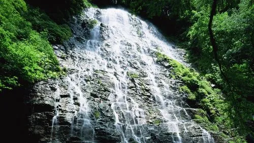 高端绿色高质量